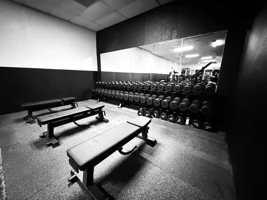 Nautilus Fitness dumbbell area