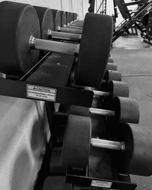 Heavy dumbbell rack close-up